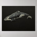 Recherche de droits des animaux posters Orque