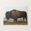 Recherche de peintures de paysage américaines puzzles Buffle
