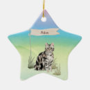 Recherche de short ornements Chat