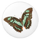 Recherche de papillon turquoise boutons et poignées de porte Cru