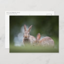 Recherche de frohe ostern cartes postales Osterhase