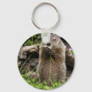 Recherche de marmot porteclés Faune