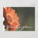 Recherche de macro photo cartes postales Closeup