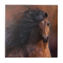 Recherche de morgan carreaux Équin