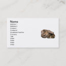 Recherche de boa cartes visite Reptile