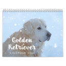 Recherche de golden retriever Extracteur
