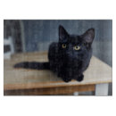 Recherche de chat noir planches à découper Animal