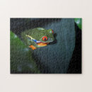 Recherche de grenouille puzzles Vacances