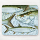 Recherche de atlantique tapis souris Animal