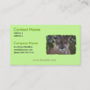 Recherche de puma cartes visite Animal