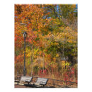 Recherche de banc de parc posters Arbres