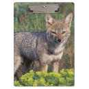 Recherche de renard porte blocs Nature