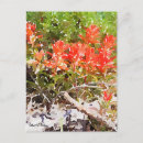 Recherche de peinture de fleur de pensée posters Aquarelle
