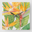 Recherche de fleurs exotiques horloges Aquarelle