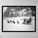 Recherche de chien de traîneau posters Photographie