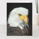 Recherche de aigle vœux cartes Amérique