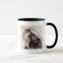 Recherche de babouin tasses Faune