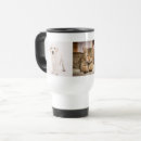 Recherche de voyage de chat maison deco Dog
