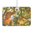 Recherche de chute voiture accessoires Nature