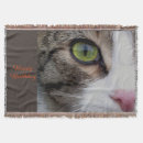 Recherche de chat observé Mignon