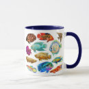 Recherche de aquarium tasses Poissons tropicaux