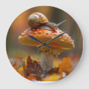 Recherche de escargots horloges Faune