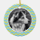Recherche de motif de zigzag ornements Rayures