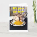 Recherche de furet anniversaire cartes Original
