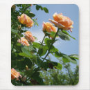 Recherche de alchimiste tapis souris Floral