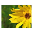 Recherche de pollen posters Floral