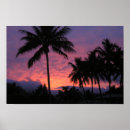 Recherche de sunset posters Palm