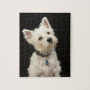 Recherche de west highland terrier puzzles Animal
