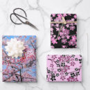 Recherche de cherry blossoms papier cadeau Japonaise