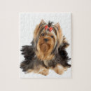 Recherche de chien puzzles Beau