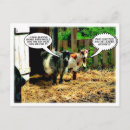 Recherche de animaux de bande dessinée cartes postales Pour tous