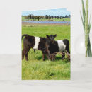 Recherche de veau vache cartes invitations Blanc
