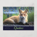 Recherche de percé cartes postales Nature