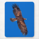 Recherche de aigle en vol tapis souris Volant