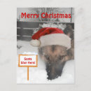 Recherche de allemand père noël cartes postales Berger