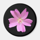 Recherche de malaise magnets Rose
