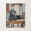 Recherche de dachshund puzzles Animal de compagnie