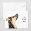 Recherche de mammifère cartes postales Portrait