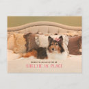 Recherche de chiens mignons cartes postales Chien mignon