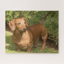 Recherche de wein puzzles Chien