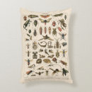 Recherche de chrysalide Insectes