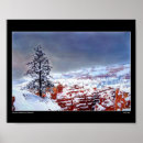 Recherche de pins art Neige