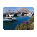 Recherche de baie magnets Usa