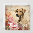 Recherche de chien vintage vœux cartes Rose