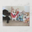 Recherche de fruit heureux cartes postales Doux