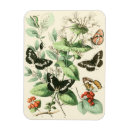 Recherche de vers magnets Jardin